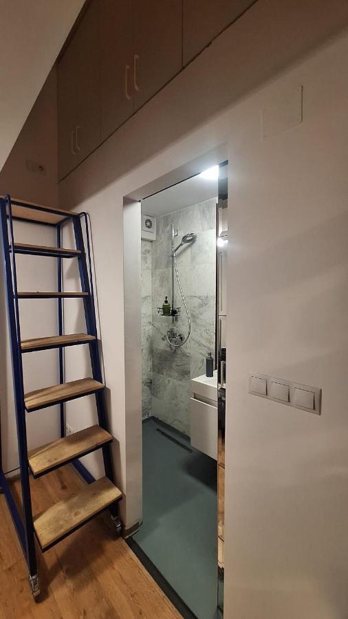 קלוז'-נאפוקה Swanhome - Central Apartment מראה חיצוני תמונה